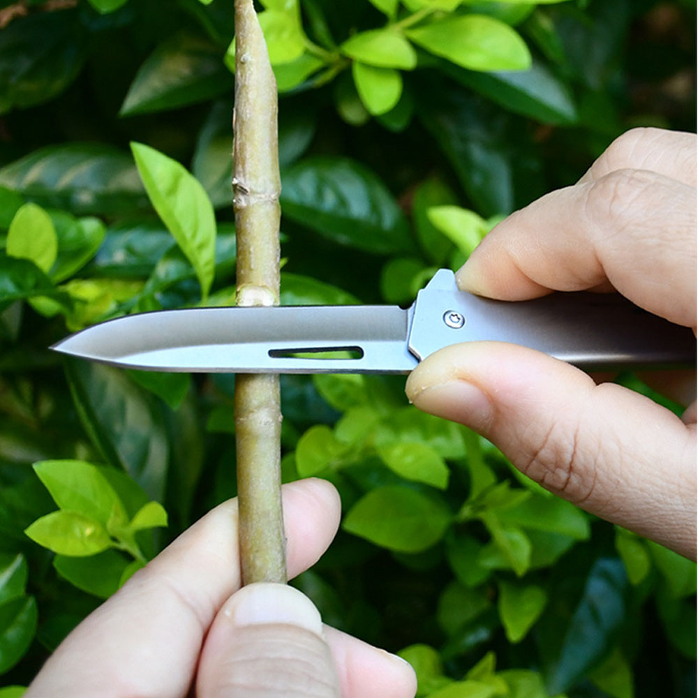 Coltello tascabile piccolo EDC - Edc Everyday Carry Gear recensione e prezzo