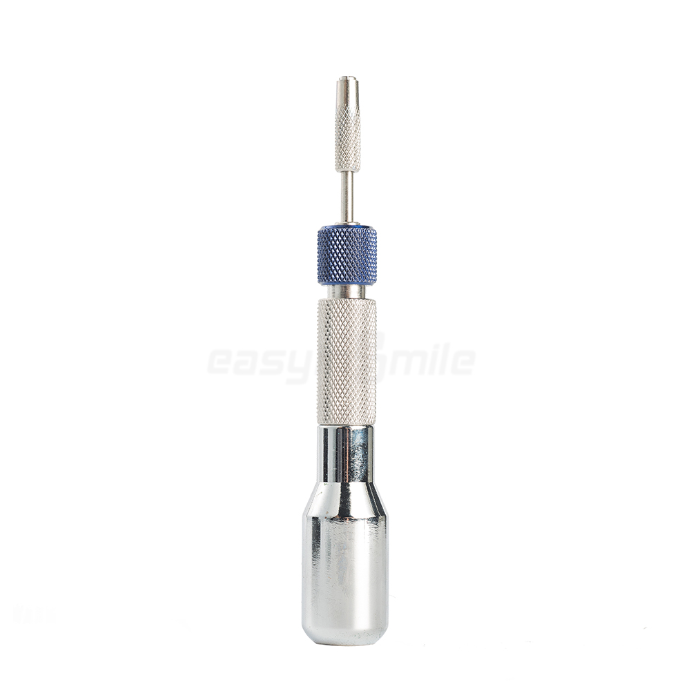 EASYINSMILE cacciavite dentale - Micro Screwdriver Kit recensione e prezzo
